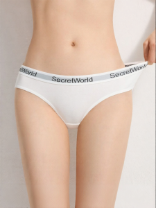 Secret World | Low Waist Comfortable Cotton Ladies Briefs