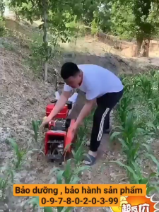 Máy vun cỏ ngô Yamaha 6.5HP