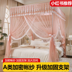 Thickened Court Style Mosquito Net Floor Standing Bedroom Three Door No Installation Required Princess Style Iron Art Frame