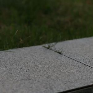 Solar 8/12/16 LED Circular Ground Light Waterproof Underground Outdoor Garden Pathway Buried Floor Light IP65 Lawn Light