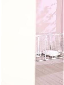 120*60*60CM Dog Fence  Fence Dog Playpen  Playpen Dog Cage Dog Kennel Animals Pen Fence