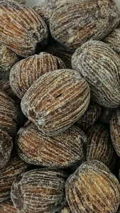 蜜枣 Candied Dates 糖枣 甜枣 金丝蜜枣