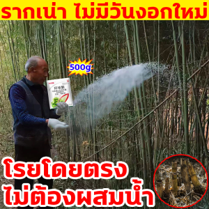 ต้นไม้ร้อยปี รากเน่าใน1วัน ผงกำจัดต้นไม้ 500g เข้มข้นสุด 1 แพ็คเท่ากับ 10 แพ็ค ยากำจัดต้นไม้ 1ถุง ฆ่าต้นไม้ใหญ่ได้1000ต้น สารกำจัดต้นไม้ ตรงไปที่ราก ไม่เป็นอันตรายต่อดิน ยากำจัดต้นไม้ใหญ่ เหมาะสำหรับกำจัดวัชพืช ต้นไม้ และไผ่ทุกชนิด ยาฆ่าไผ่ สารกำจัดกอไผ่