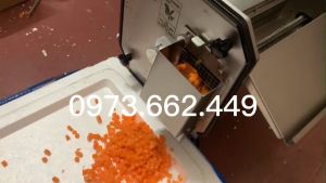Máy cắt hạt lựu hành tây củ dền măng khoai tây cà rốt ... chỉ trong 1 bước có 4 bộ dao nhiều cỡ