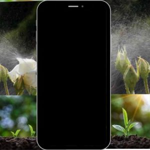 Cuka Kayu Organik High Quality kawalan serangga organik