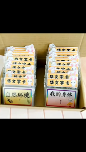 【华文闪卡•Chinese Flashcards】华语识字卡 Kad Imbas|适合4-8岁|幼儿园学习 Preschool Learning