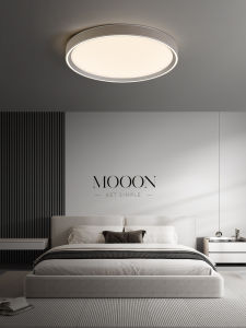 Minimalist Design Ceiling Light