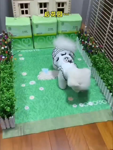 Cocoyo Grass Print Puppy Training Pads pee pad for dog – Instant Absorb & Dry Leak-Proof with Adhesive Backing Odor Control Technology S/M/L/XL size 80/40/20/10 pcs
