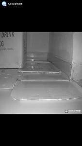 10pcs Super Sticky Rat Trap Board Mouse And Insect Glue Control