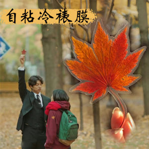 Màng Bảo Vệ Tự Dính Kích Thước Lớn Màng Bảo Vệ Hình Ảnh Màng Bảo Vệ Lá Cây Thực Vật Màng Bảo Vệ Nhãn Sách Màng Bảo Vệ