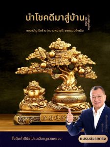 Wealth Attracting Display Item For Home Or Business Opening