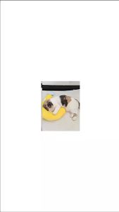 Gối ôm kiêm gối kê đầu cho Chó Mèo hình dấu chấm hỏi (mẫu mới) - Hara Pet Store