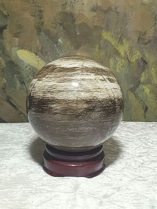 8.5cm Premium Madagascar Petrified wood Fengshui sphere ball 天然马达加斯加木化石风水球摆件