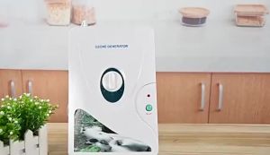 ⭐️Local Stock⭐️Portable Active Ozone Generator Sterilizer Air Purifier Fruit Purifier Vegetables Water Food Preparation Ozonator