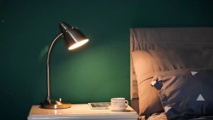 Đèn Bàn Học Tập Và Làm Việc Chống Cận Viribright - Home and Garden Đèn Bàn Làm Việc Thiết Kế Hiện Đại Đèn Bàn Màu Bạc Cho Không Gian Học Tập Đèn Bàn Viribright Tiết Kiệm Điện Năng - Lazada