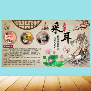 Ear Cleaning Health Care Salon Background Poster Foot Massage Advertising Ear Cleaning Wall Painting Modern Decorative Art