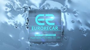EURORECAR Submersible Pump 220V 0.5HP 2.5" Stainless Steel Single Phase Deep Well Impeller Water Pump 141Ft High Lift