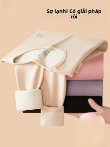 Đồ lót giữ nhiệt nữ MiiOW cổ tròn tay dài không đường may