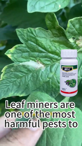 Leafminer Larvicide leaf miner insecticide 100g leafminer killer Larvae Insecticide