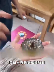 已开光 进化磁场 招财 好运 Natural Pine Cone Incense Pure Air Purification Attract Wealth Ancient Method Original Pine Wood Aromatherapy Gift Tower Incense