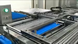 แคปซูลเปล่าเจลาติน สีแดง เบอร์ 0 500 มก 1ห่อ บรรจุ 1000 แคปซูล #แคปซูล #แคปซูลเปล่า #แคปซูลพืช #แคปซูลเจลาติน