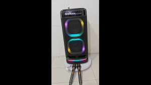 BTS-2120 Portable Bass Speaker karaoke Wireless Outdoor Speaker with Lyric display with 2 microphone