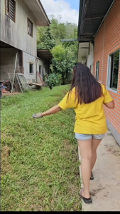 Reput akar tidak berulang rabun rumput paling kuat murah rabun rumput cepat mati pembunuh rumai 500g 5% Glyphosate tindakan cepat tahan lama kematian dari akar berfungsi pada semua rumput rabun Hexazinone Grass killer Weed killer