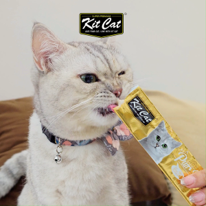 Kit Cat Purr Puree & Purr Puree Plus+ Liquid Cat Treats | Better Hydration Treats for Cats (15g/Stick)