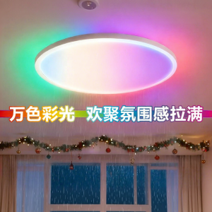 Philips | 2024 New Ultra-thin Atmosphere Minimalist Bedroom Ceiling Light
