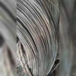 Kawat Tali Aluminium Bonsai Anti Karat: Pilihan Ukuran & Cara Penggunaan