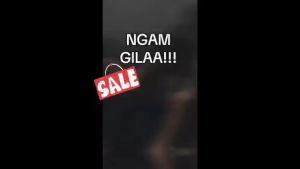 New Model Motorcycle Helmet Liner Insert - High-Quality Visor Pad for Riding Gear