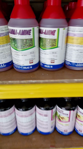 HALEX Gamma Amine 1L Racun Rumpai Rumput Pait Akar Ruas Paku Larat Rumput Kemarau Herbicide