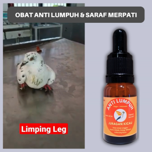Obat Lumpuh Merpati Sayap Turun Dan Masalah Pada Saraf