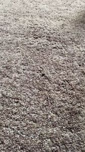 MORESKIN Clean & Glow Cream