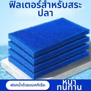 Depontaqua | Purifying Biological Filter Media Thickened