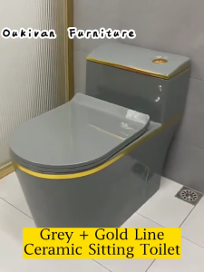 Grey Sitting Toilet S-Trap Duduk Ceramic Siphonic Flush Large Trap Way Water Saving Toilet Bowl