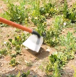 【รับประกัน 1ปี เปลี่ยนเฉพาะแต่ไม่ซ่อม】จอบกำจัดวัชพืช จอบสวนผัก จอบขุดดิน ทำจากเหล็กแมงกานีส คม ทนทาน ใช้ถากหน้าดิน ถางหญ้า จอบถากหญ้า จอบถากหญ้าคมๆ จอบ จอบดายหญ้าคมๆ จอบพร้อมด้าม จอบขยันถากหญ้า จอบแมงกานีส จอบถางหญ้า อุปกรณกำจัดวัชพืช