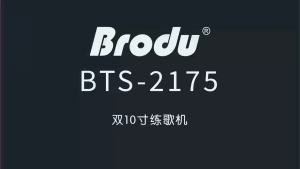 BTS-2175 10X2 inch Wireless Subwoofer Bluetooth Speaker with Rechargeable Wireless karaoke Mic