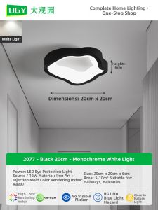 DGY | Ceiling Light