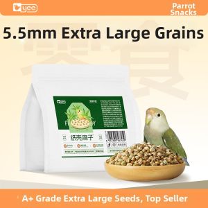 Yee | Training and Rewarding Parrot Food