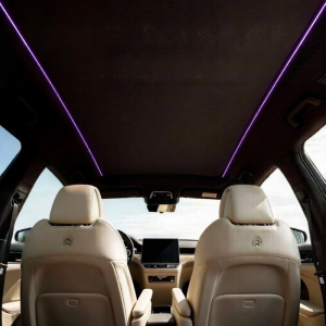 ANXINGLETU | Adjustable Sunshade Curtain For Car