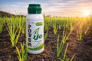 nutrisi vitamin tanaman power ijo 500ml