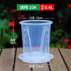 Phalaenopsis Orchid Root-Controlling Pot Plastic Root Pot Alocasia Wedding Candle Philodendron Hollow out See through Flower Pot 2024 New Arrival