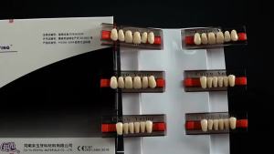 Dental Resin Denture Teeth Teaching Models Repairable Synthetic Anterior Posterior Polymer A1/2/3 Acrylic Temporary False Tooth