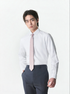 Business Formal Cotton Shirt