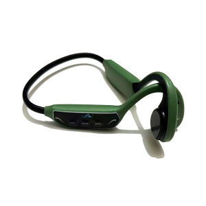 Flag Fish Bone Conduction Swimming Training Teaching Wireless Headset New Magnetic Absorption Charging Waterproof Sports Type