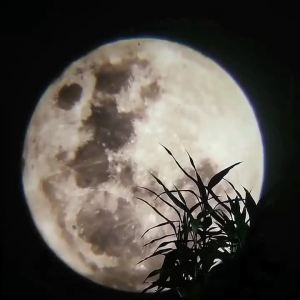 LED USB Moon Earth Projector Lamp Adjustable Rotatable Atmosphere Night Light for Home Bedroom Decorative Wall Projection Lamp