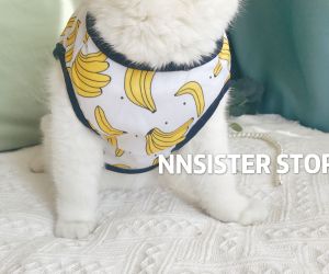 Cute Summer Thin Sleeveless Vest for Cats And Dogs Pet Clothing Anti Shedding Tropical Fruit Design Casual Style Pet Clothes
