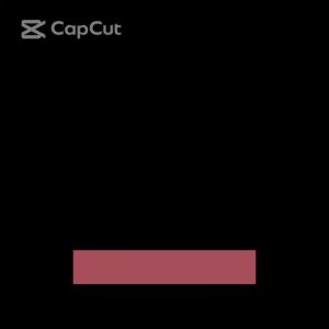 Dây nhảy không dây đếm số màn hình điện tử - tặng kèm bộ dây khi cần dây nhảy thể dục không dây loại 1 cao cấp