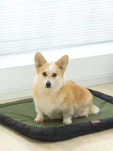 🔥🔥🔥Dog Bed Washable  Anti-tear Waterproof Pee-proof CoolSummer Sleeping Mat for Pets